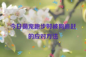 今日萌宠跑步时被狗追赶的应对方法