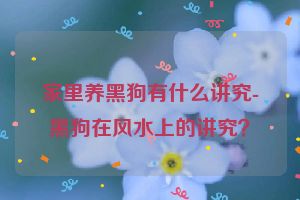 家里养黑狗有什么讲究-黑狗在风水上的讲究？