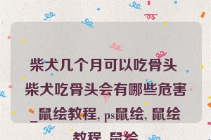 柴犬几个月可以吃骨头 柴犬吃骨头会有哪些危害_鼠绘教程, ps鼠绘, 鼠绘教程, 鼠绘