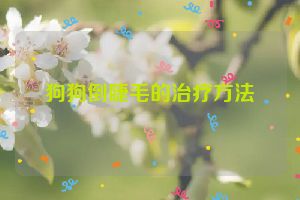 狗狗倒睫毛的治疗方法