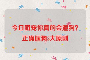 今日萌宠你真的会遛狗？正确遛狗5大原则