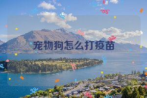 宠物狗怎么打疫苗