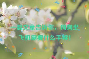 一篇文章告诉你，狗狗坐飞机需要什么手续！