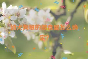 幼犬狗粮的喂食量怎么确定？