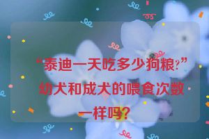 “泰迪一天吃多少狗粮?” 幼犬和成犬的喂食次数一样吗？