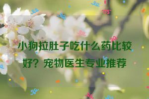 小狗拉肚子吃什么药比较好？宠物医生专业推荐