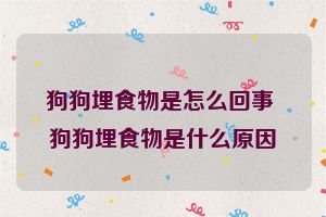 狗狗埋食物是怎么回事 狗狗埋食物是什么原因