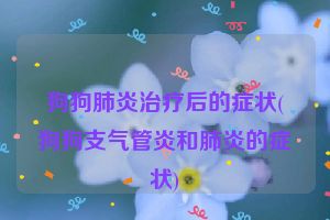 狗狗肺炎治疗后的症状(狗狗支气管炎和肺炎的症状)