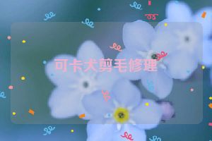 可卡犬剪毛修理