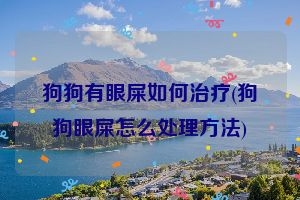 狗狗有眼屎如何治疗(狗狗眼屎怎么处理方法)