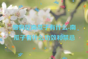 细狗吃南瓜子有什么-南瓜子有什么功效和禁忌
