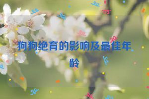 狗狗绝育的影响及最佳年龄