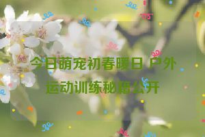 今日萌宠初春暖日 户外运动训练秘籍公开