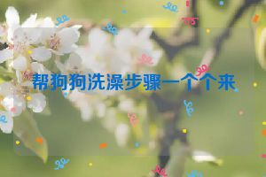 帮狗狗洗澡步骤一个个来