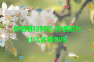 异烟肼给狗吃-异烟肼为什么能毒死狗