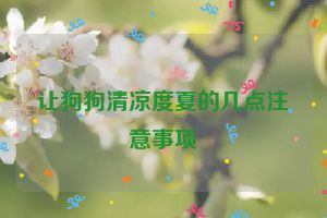 让狗狗清凉度夏的几点注意事项