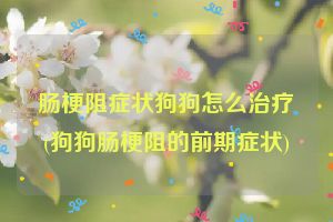 肠梗阻症状狗狗怎么治疗(狗狗肠梗阻的前期症状)