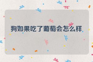 狗如果吃了葡萄会怎么样