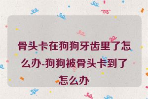 骨头卡在狗狗牙齿里了怎么办-狗狗被骨头卡到了怎么办