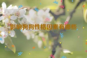 影响狗狗性格因素有哪些