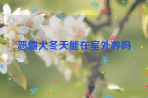 恶霸犬冬天能在室外养吗