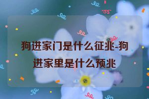 狗进家门是什么征兆-狗进家里是什么预兆