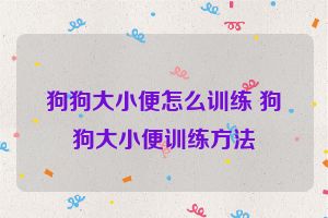 狗狗大小便怎么训练 狗狗大小便训练方法