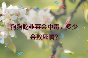 狗狗吃韭菜会中毒，多少会致死啊？