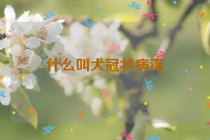 什么叫犬冠状病毒