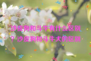 沙皮狗和斗牛有什么区别？沙皮狗和斗牛犬的区别