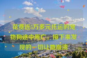 花费近5万多元托运的宠物狗途中死亡,接下来发现的一切让她崩溃