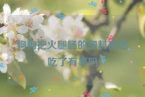 狗狗把火腿肠的塑料皮给吃了有事吗