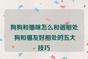 狗狗和猫咪怎么和谐相处 狗和猫友好相处的五大技巧