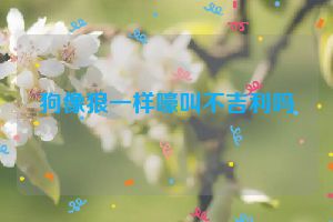 狗像狼一样嚎叫不吉利吗