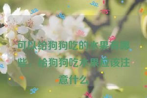 可以给狗狗吃的水果有哪些，给狗狗吃水果应该注意什么