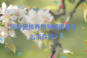 你知道领养狗狗都需要什么条件吗？