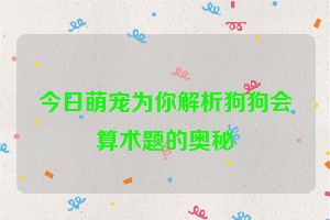 今日萌宠为你解析狗狗会算术题的奥秘