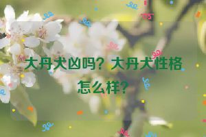 大丹犬凶吗？大丹犬性格怎么样？