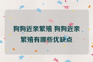 狗狗近亲繁殖 狗狗近亲繁殖有哪些优缺点