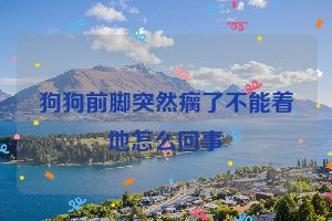 狗狗前脚突然瘸了不能着地怎么回事