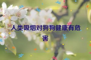 人类吸烟对狗狗健康有危害