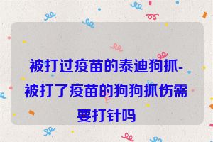 被打过疫苗的泰迪狗抓-被打了疫苗的狗狗抓伤需要打针吗