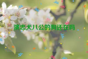 演忠犬八公的狗还在吗