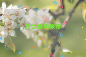 什么是狗尿布