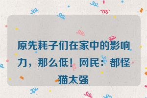 原先耗子们在家中的影响力，那么低！网民：都怪猫太强