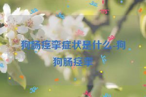 狗肠痉挛症状是什么-狗狗肠痉挛