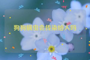 狗狗螨虫会传染给人吗