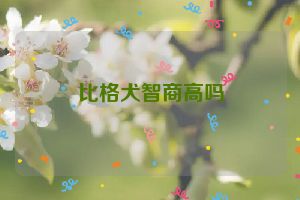 比格犬智商高吗