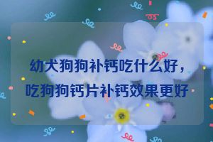 幼犬狗狗补钙吃什么好，吃狗狗钙片补钙效果更好