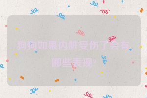 狗狗如果内脏受伤了会有哪些表现?